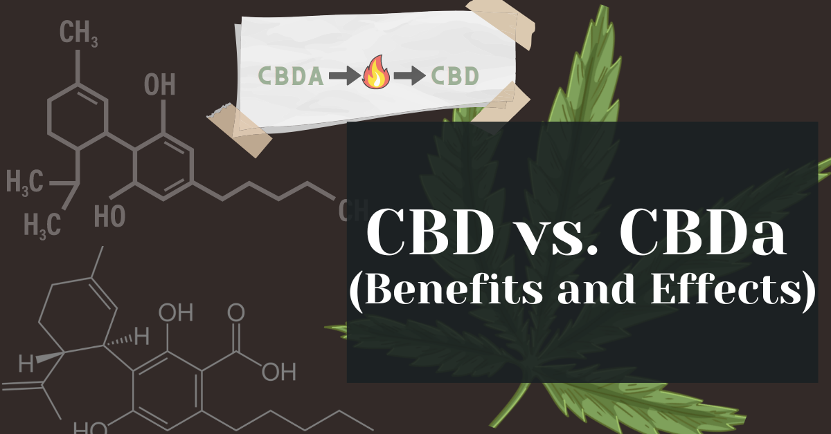 Cbd Vs. Cbda (benefits And Effects) – Alive Market