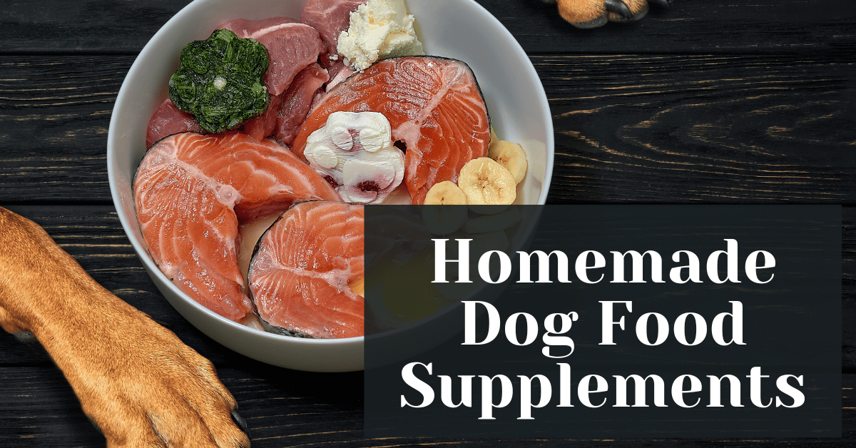 Homemade Dog Food Supplements Alive Market