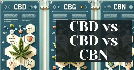 CBD vs CBD vs CBN