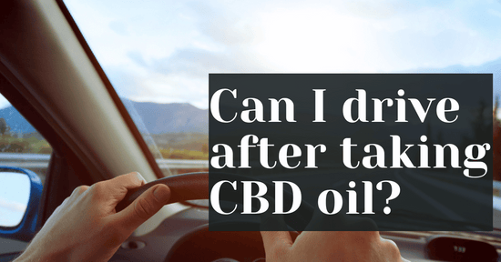 Can I Drive After Taking CBD Oil?